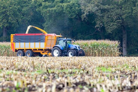 Farmer on tractor harvesting corn on agricultural land in autumn