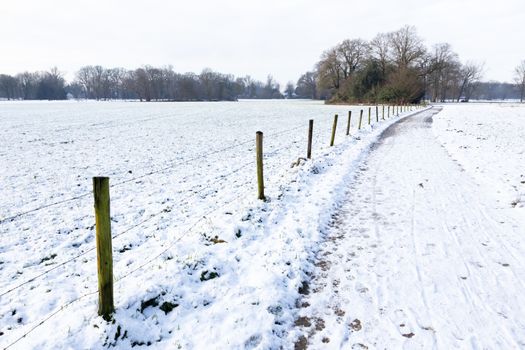 Snow landscape with footpath between pastures in winter season