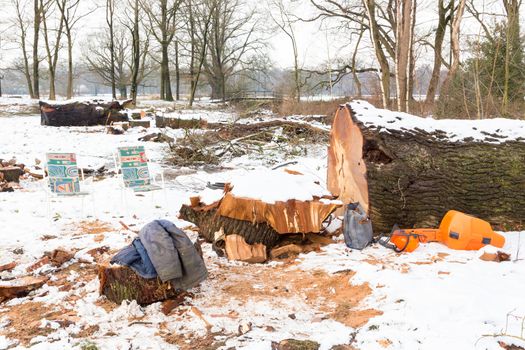 Snow landscape with tree trunks and work gear in winter season