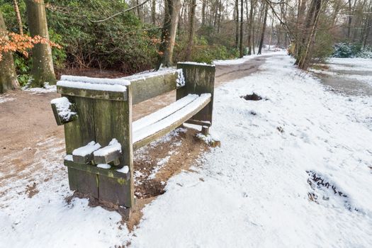 Wooden bench in forest along footpath with snow in winter season