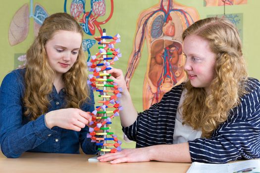 Two caucasian teenage girls studying human DNA model in biology lesson in front of wallchart