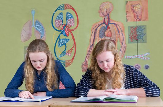 Two caucasian teenage girlfriends reading school books with biology blood circulation wall chart