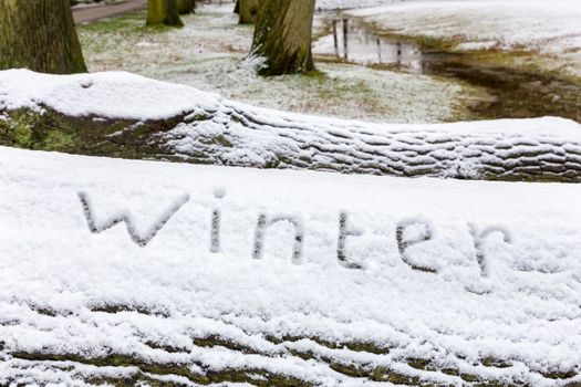 Word winter written in snow on oak tree trunk during winter season