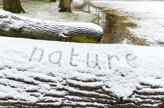 Word nature written in snow on tree trunks in winter season