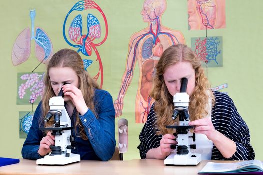 Two caucasian teenage girls looking through microscope in biology classroom with wall chart
