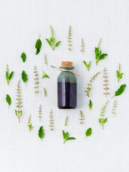 Bottle of essential oil, with holy basil leaf and flower.