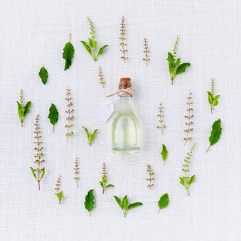 Bottle of essential oil, with holy basil leaf and flower.