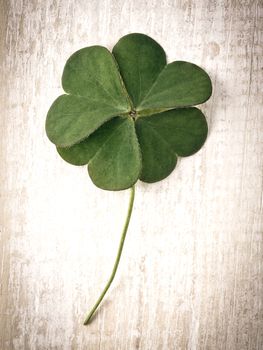 Closeup clover leaf on wooden heart  background.