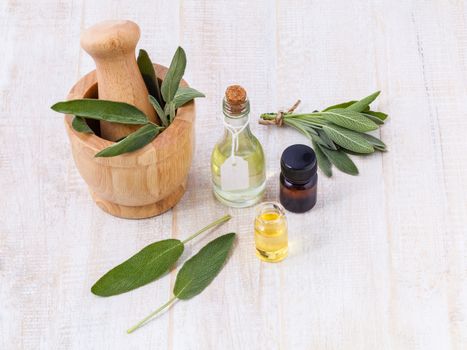 Natural Spa Ingredients  sage essential oil for aromatherapy.