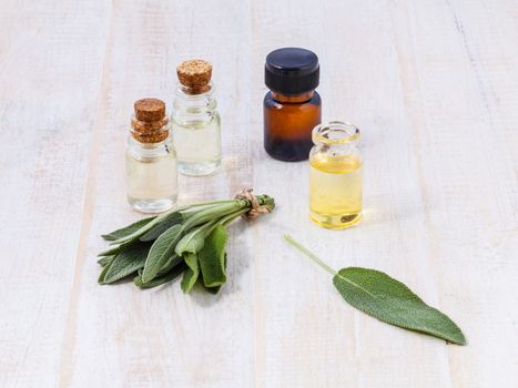 Natural Spa Ingredients  sage essential oil for aromatherapy.