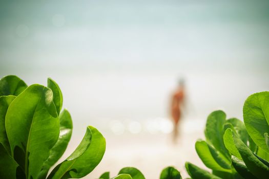 Blurred of bikini girl at tropical beach on summer .