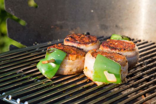 Grilled meat on a summer barbecue in the garden