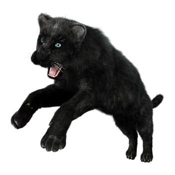 3D digital render of a big cat black panther hunting isolated on white background