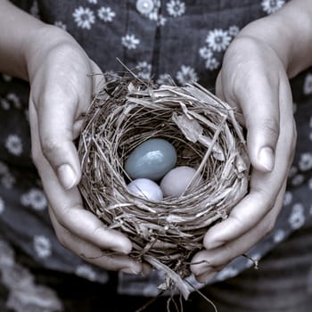 Nest with Colorful eggs in woman's hands.