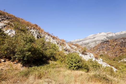   the mountains which are in the territory of Montenegro. summertime of year