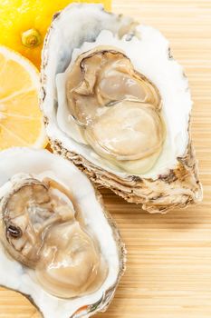 Fresh oysters for  appetizer . - With copy space