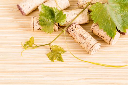 Wine bottle with vine and wine cork put on the board.