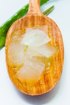 Aloevera - Natural Spas Ingredients  for skin care.