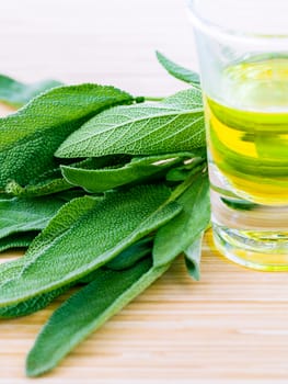 Fresh sage put on wooden board. - Spices ingredient with macro shot