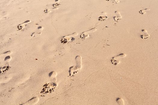 Footprints on the tropical beach.