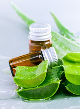 Aloevera - Natural Spas Ingredients  for skin care.