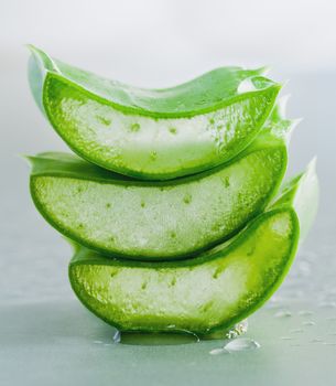 Aloevera - Natural Spas Ingredients  for skin care.