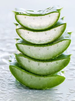 Fresh stacked aloe leaf with water drop .