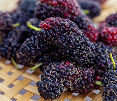 Ripe mulberries macro shot in selective focus.