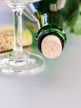 Wine bottle with vine and wine cork put on the board.