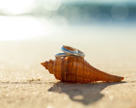 Wedding rings put on the beachside.