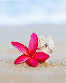 Wedding rings put on the beachside.