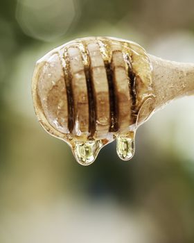 Golden honey dripping  with wooden dipper.