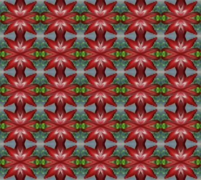 Hippeastrum full bloom or amaryllis flowers seamless use as pattern and wallpaper.