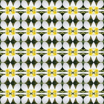 White Frangipani flowers, a bouquet of flowers seamless use as pattern and wallpaper.