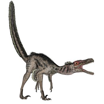 Velociraptor dinosaur roaring isolated in white background - 3D render