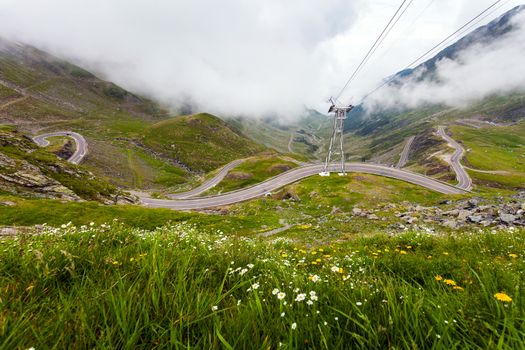 Transfagarasan mountain road with wild flowers from Romaniacovered with fog