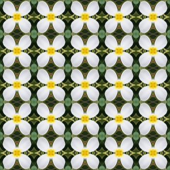 White Frangipani flowers, a bouquet of flowers seamless use as pattern and wallpaper.