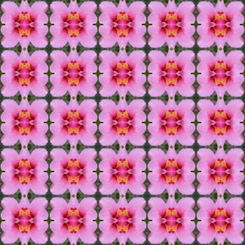 Beautiful pink hibiscus flower seamless use as pattern and wallpaper.