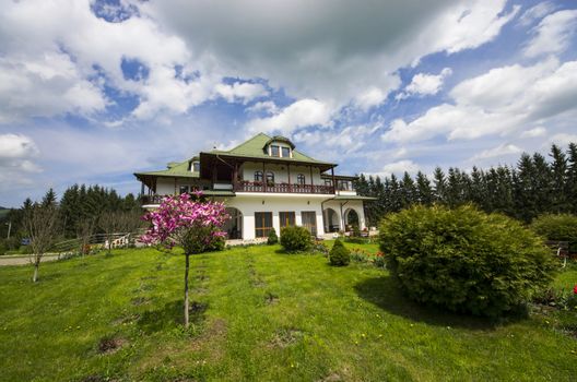 Beautiful house with big green garden