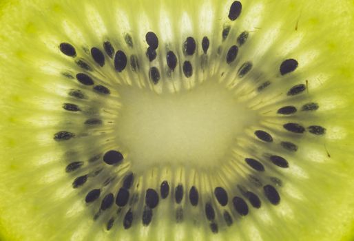 Close up image of a slice of kiwi fruit