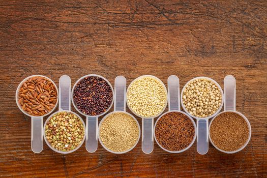 gluten free grains (quinoa, brown rice, kaniwa, amaranth, sorghum, millet, buckwheat, teff) - a row of measuring scoops on a rustic wood with a copy space