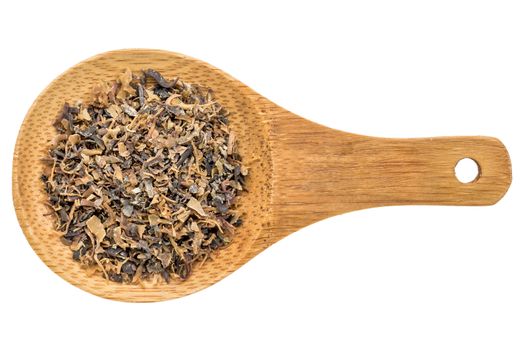 Irish moss seaweed - top view of a wooden spoon isolated on white