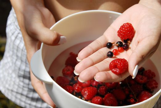 woman hand holding white bowl with red raspberries and currants