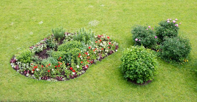 Grass with different flowered bed, nature background. Close-up view