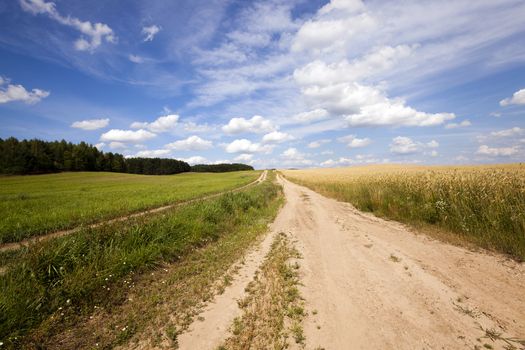   the small not asphalted road in rural areas