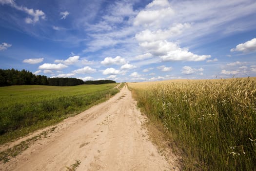   the small not asphalted road in rural areas