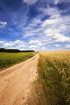   the rural not asphalted road which is passing across the field