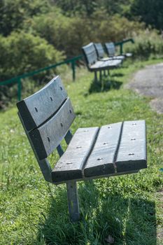 set of three benches at paths edge in park setting