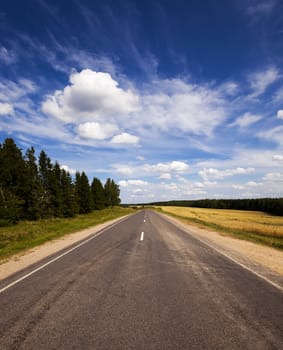   the asphalted road to summertime of year. along the road trees grow
