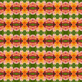 Plumeria or Luntom pink flower seamless use as pattern and wallpaper.